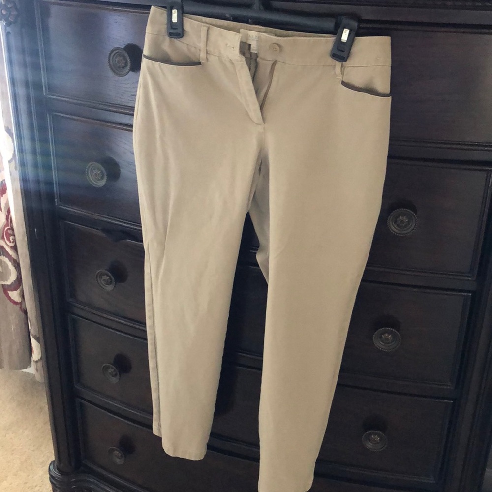 Petite curvy pants.